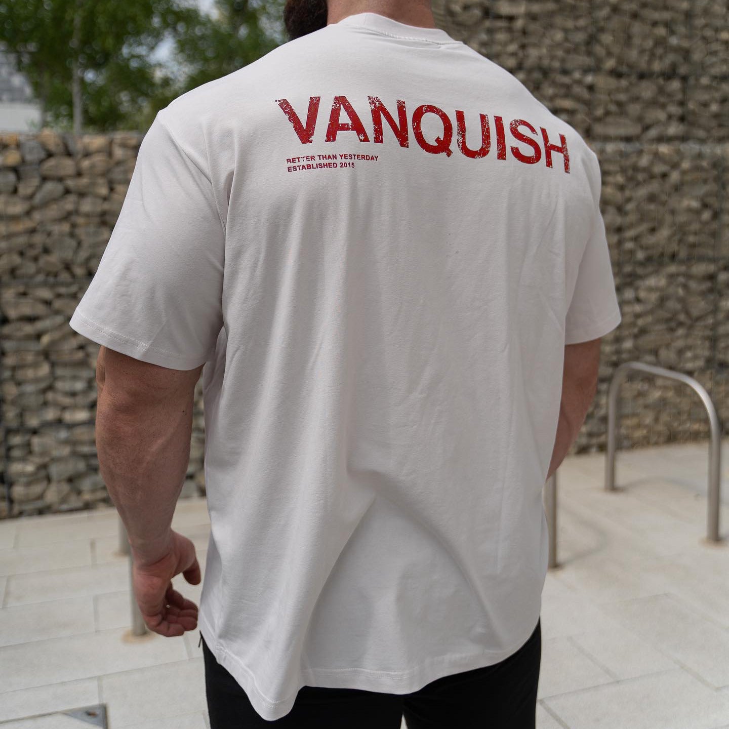 Vanquish Series Sports and fitness style loose short sleeves t Men's Running Casual European and American Cotton Gym Workout Shirt